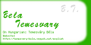 bela temesvary business card